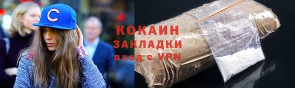 PSILOCYBIN Заводоуковск