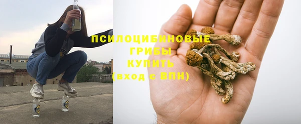 PSILOCYBIN Заводоуковск