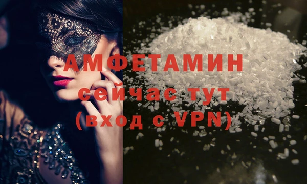 PSILOCYBIN Заводоуковск