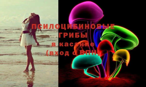 PSILOCYBIN Заводоуковск