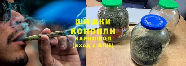 PSILOCYBIN Заводоуковск