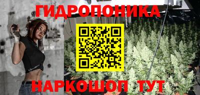 стаф Ливны