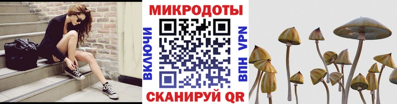 Галлюциногенные грибы прущие грибы  наркота  Саяногорск 