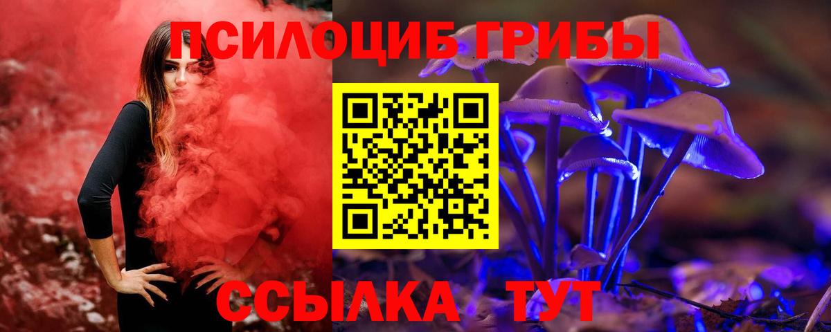 Саяногорск  Псилоцибиновые грибы Magic Shrooms  Вход с VPN 